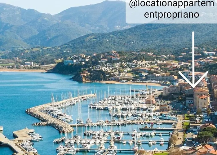 Location Appartement Propriano